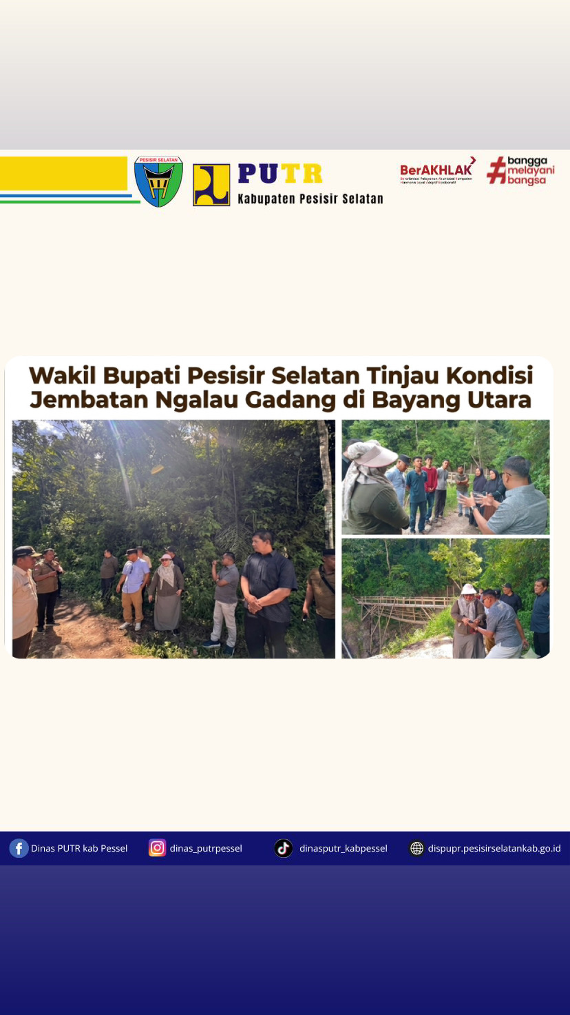 Wakil Bupati Pesisir Selatan Tinjau Kondisi Jembatan Ngalau Gadang di Bayang Utara